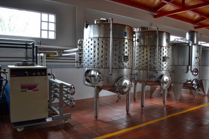 cave-LA BOLLENE VESUBIE-min_wine_production_cantine_winery_drink_alcohol_vine_beverage-902036